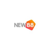 new8888online