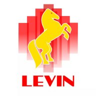 Levin