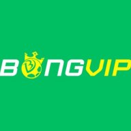 bongvipgroupfdr