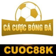 cacuocbongdainfo1