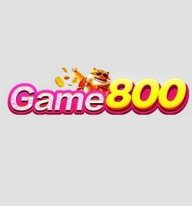 game800netbr