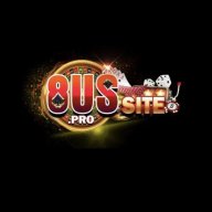 8ussitepro