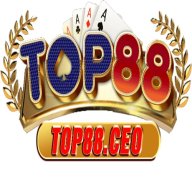 top88ceo