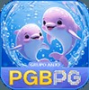 pgbpgnetbr1122
