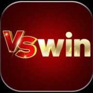 VSWINRun