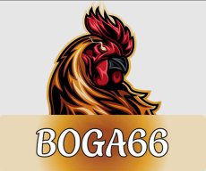 BOGA66 Casino