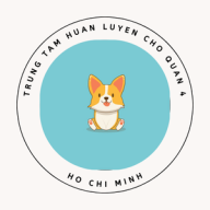 huanluyenchoq4