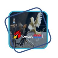 daga88codes
