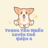 huanluyenchoq8