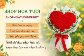 shophoaquan1giare
