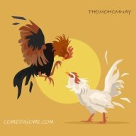 thomohomnaycome