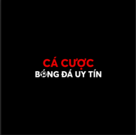 cacuocbongdavn1