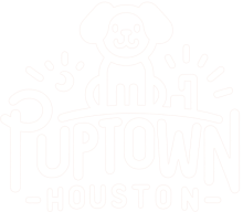houstonpuppytraining
