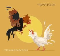 thomohomnayclick