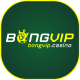 bongvipcasino01