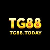 Tg88today