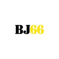 bj66fit