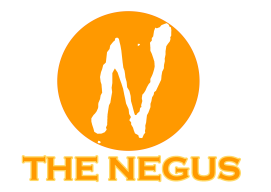 SpagiayThenegus