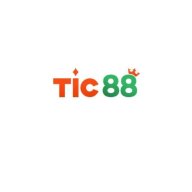 tic88online