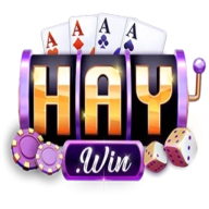 HAYWIN